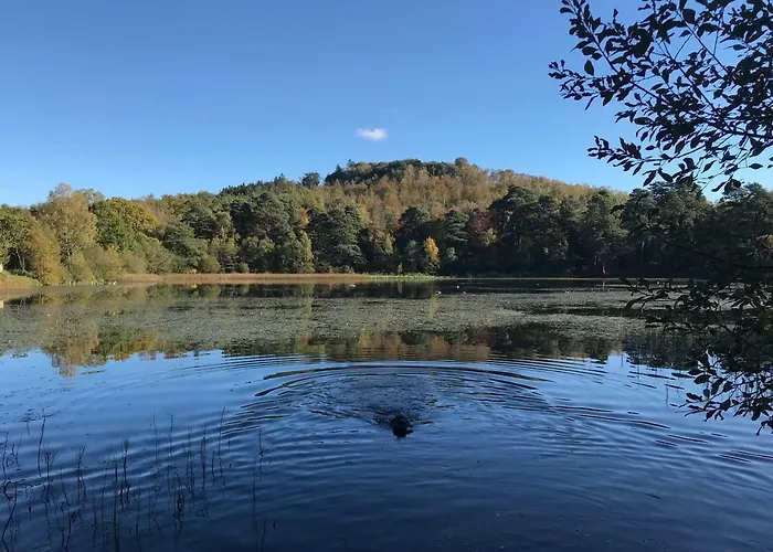 Πανσιόν The Parcel Shed *
